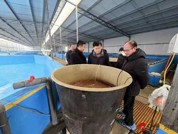 ​国家特色淡水鱼产业技术体系岗位专家 河南省水产科学研究院副院长吕军莅临西平指导工作