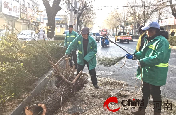 驻马店开发区城市管理局及时清除老化树木 消除安全隐患