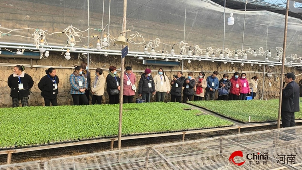 ​西平县2023年高素质农民培训圆满落幕
