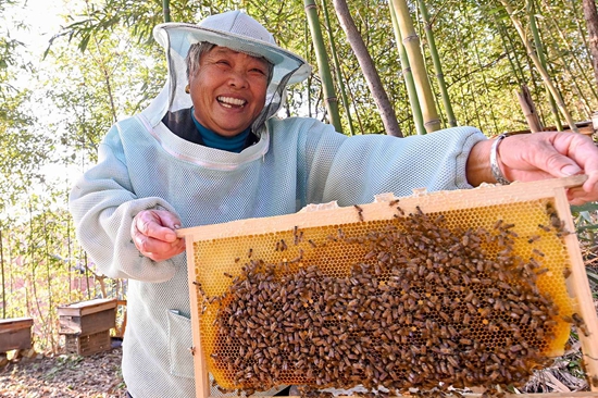 新县：建设蜂产业示范园 着力打造“蜜蜂王国”