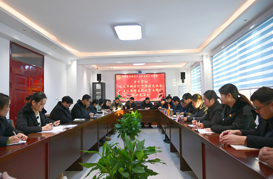 南阳高新区法院召开主题教育专题组织生活会