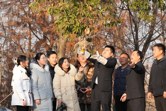 淮滨县林业局成功救助一只长耳鸮并放生