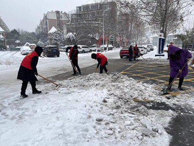 罗山县行政审批和政务信息管理局：银装素裹遍地红 扫雪便民在行动