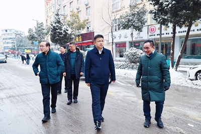 ​息县县委书记管保臣检查指导除雪除冰保畅通工作