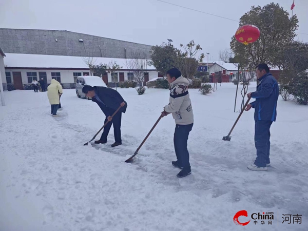 ​西平县专探乡机关干部开展义务扫雪行动