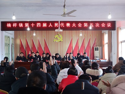 罗山县楠杆镇第十四届人民代表大会第五次会议胜利召开