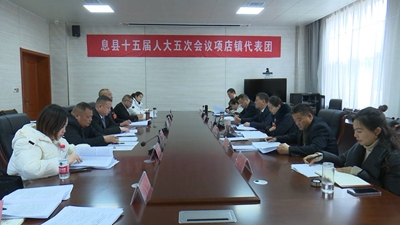 ​息县县领导在各自代表团审议政府工作报告及其他报告