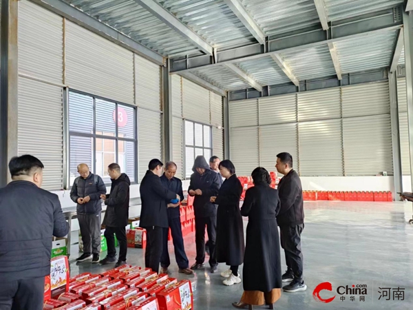 河南省委巡视员到西平县专探乡渔网渔具产业园考察调研