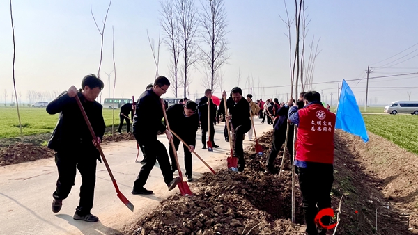​西平县四个班子领导到盆尧镇参加义务植树活动