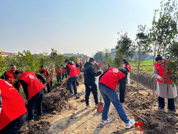 天天热讯:​西平县嫘祖镇组织开展2024年“履行义务植树 共建美丽西平”主题活动
