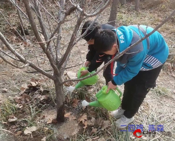 ​约会春天 拥抱绿色——西平县第二小学开展“植树节”实践活动
