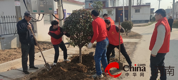遂平县人民检察院:携手植树添新绿 结对共建促发展