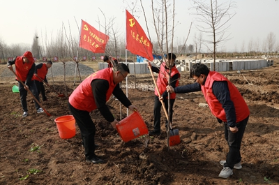 ​息县举行2024年春季义务植树活动