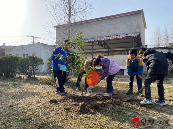 西平县焦庄王老庄小学开展“绿化环境 从我做起”植树节活动