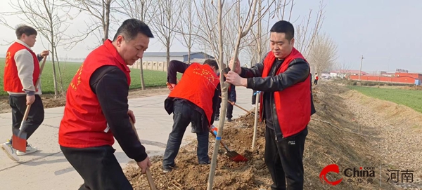 ​西平县专探乡开展2024年春季植树造林活动