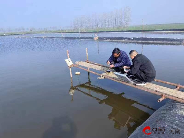 ​西平县农业农村局渔业发展服务中心开展水产养殖池塘水质检测工作