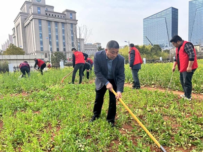 ​信阳市羊山新区城管局开展“毁绿种菜” 专项整治行动