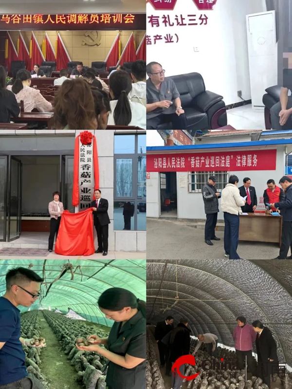 2023年泌阳县人民法院工作报告