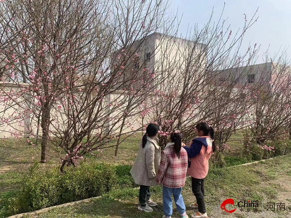 ​西平县重渠李庄小学：人间最美三月天 不负春光与时行