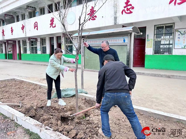 ​西平县专探赵丁庄小学组织全体教师种植樱花树