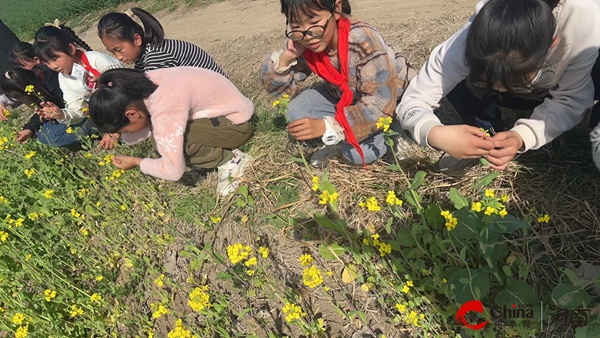 ​西平县焦庄席王寨小学开展“亲近自然·拥抱春天”春游活动