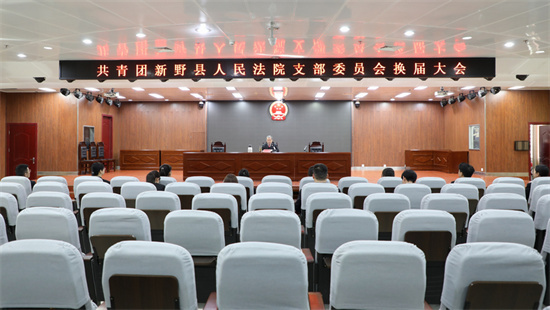 新野县法院召开共青团支部委员会、青年工作委员会、妇女工作委员会换届选举大会