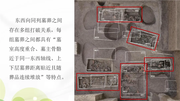 河南永城王庄遗址2023年度考古发掘成果
