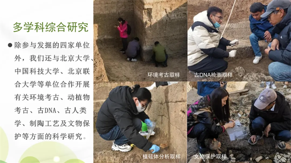 河南永城王庄遗址2023年度考古发掘成果