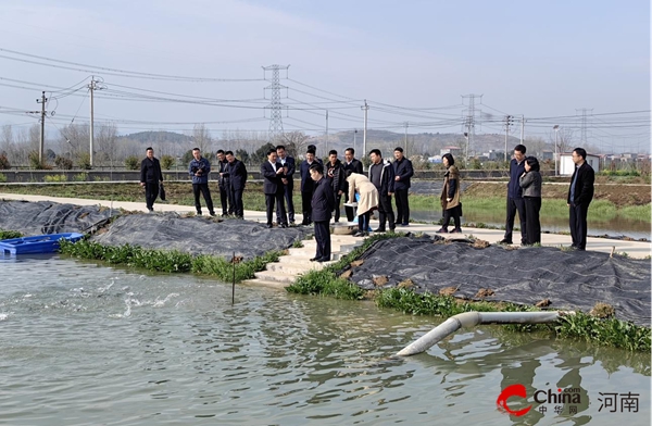 河南省2024年水产绿色健康养殖技术推广“五大行动”暨规范用药科普下乡活动现场会在西平县召开