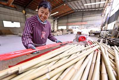新县：小竹子“撑”起富民大产业
