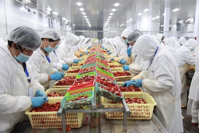 ​潢川县绿色食品产业呈链式高质量发展