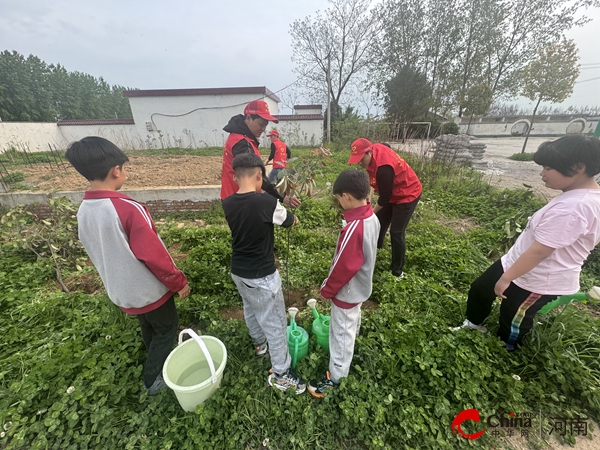 ​西平县五沟营中心校开展“相约植树 共同成长”主题活动-世界新动态
