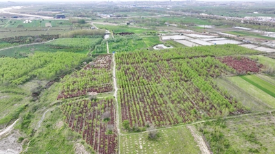 息县：打造绿色经济增长极 描绘“沿淮河发展”新画卷