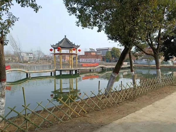 邓州市陶营镇：推进人居环境整治 优化居民宜居环境