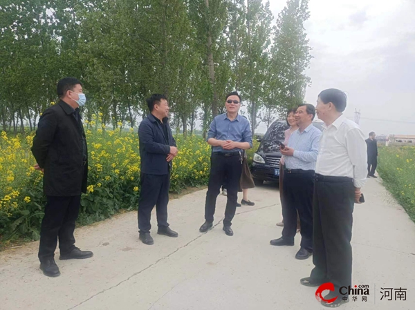 ​河南省豆制品行业协会到西平县五沟营镇调研指导
