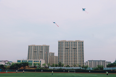 商城县新时代学校举办第二届风筝节活动
