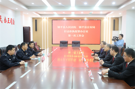 打击拒执犯罪办公室在镇平县人民法院揭牌成立