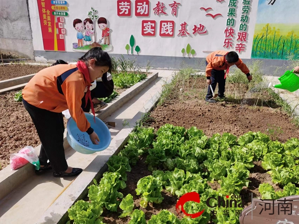 在劳动中成长 在实践中飞翔——驻马店市第四小学开展2024年“五一”劳动节教育实践活动