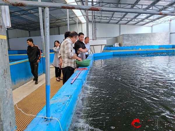 ​河南省农业农村厅水产局副局长陈国才调研指导西平水产种业发展情况