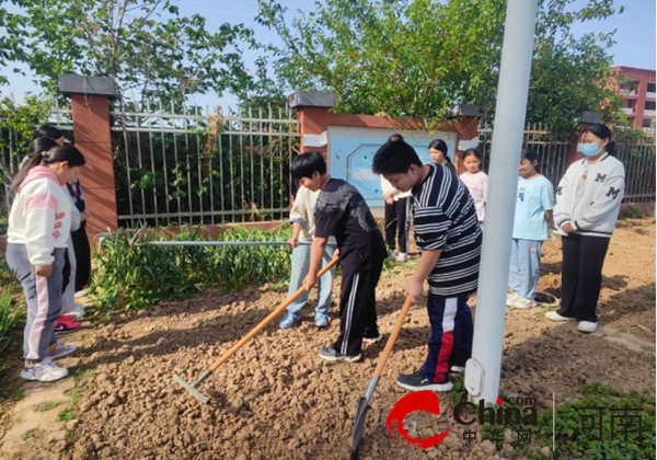 我劳动 我光荣 我能干 我幸福——驻马店市第五十八小学开展五一劳动实践教育活动