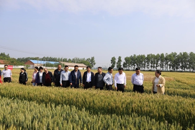 息县持续开展特色农产品品种选育、试验示范、科技推广等合作