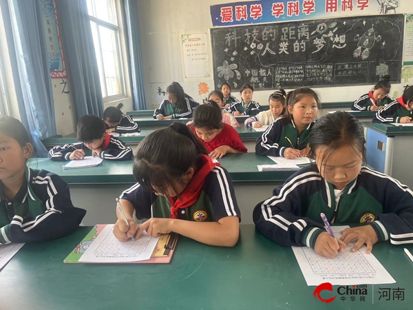 西平县专探中心校举行硬笔书法比赛活动