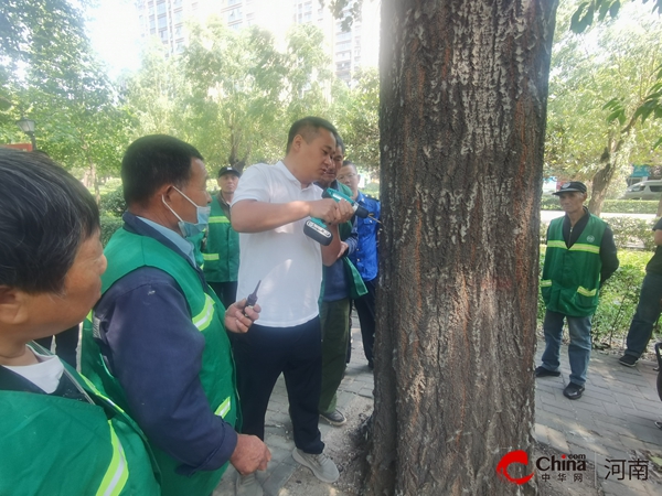 ​西平县园林绿化中心积极开展杨柳树飞絮治理工作