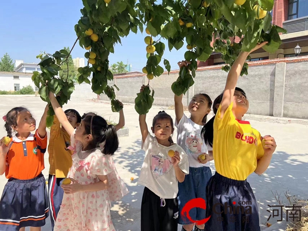 驻马店市第四小学开展采摘杏子劳动实践活动