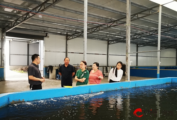 ​河南省农业农村厅专家验收组来西平开展省级水产良种场验收工作