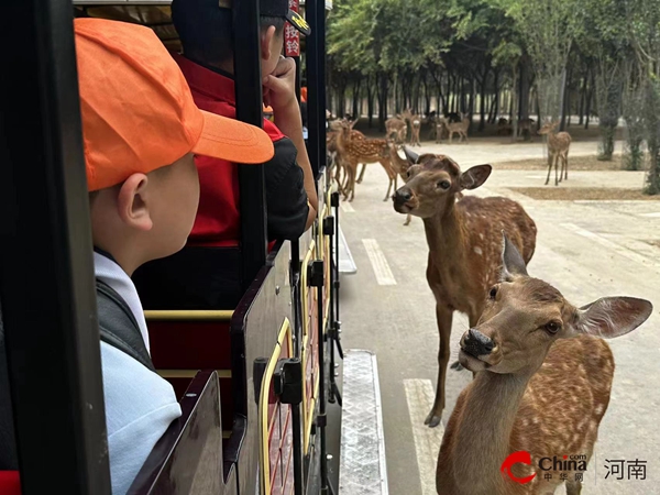 ​探秘动物城 一起“趣”成长——西平县柏城杨庄小学师生到周口野生动物园开展研学之旅