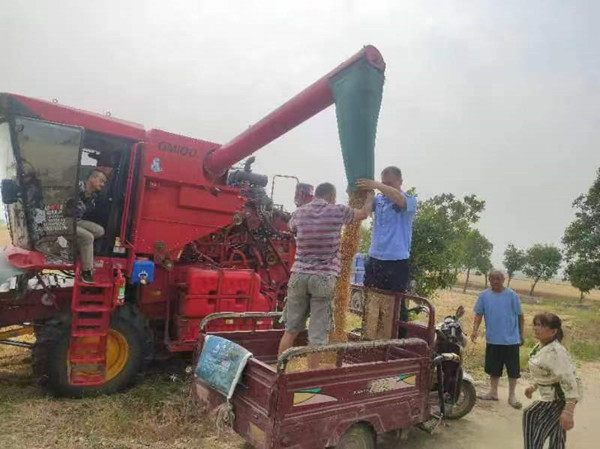 邓州市裴营乡：多措并举战“三夏” 优化麦收环境