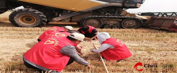 ​西平县举办2024年小麦机收减损大比武活动现场会