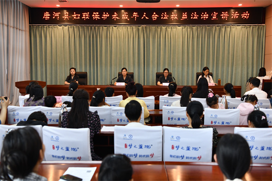 头条：唐河县法院携手“爱心妈妈”活动，共筑未成年人法治防线