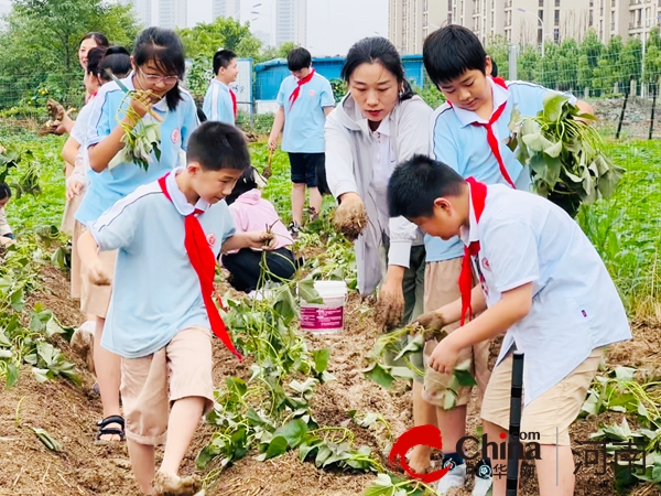 以劳育人“薯”与“泥”的快乐—驻马店实验小学开展劳动教育实践活动